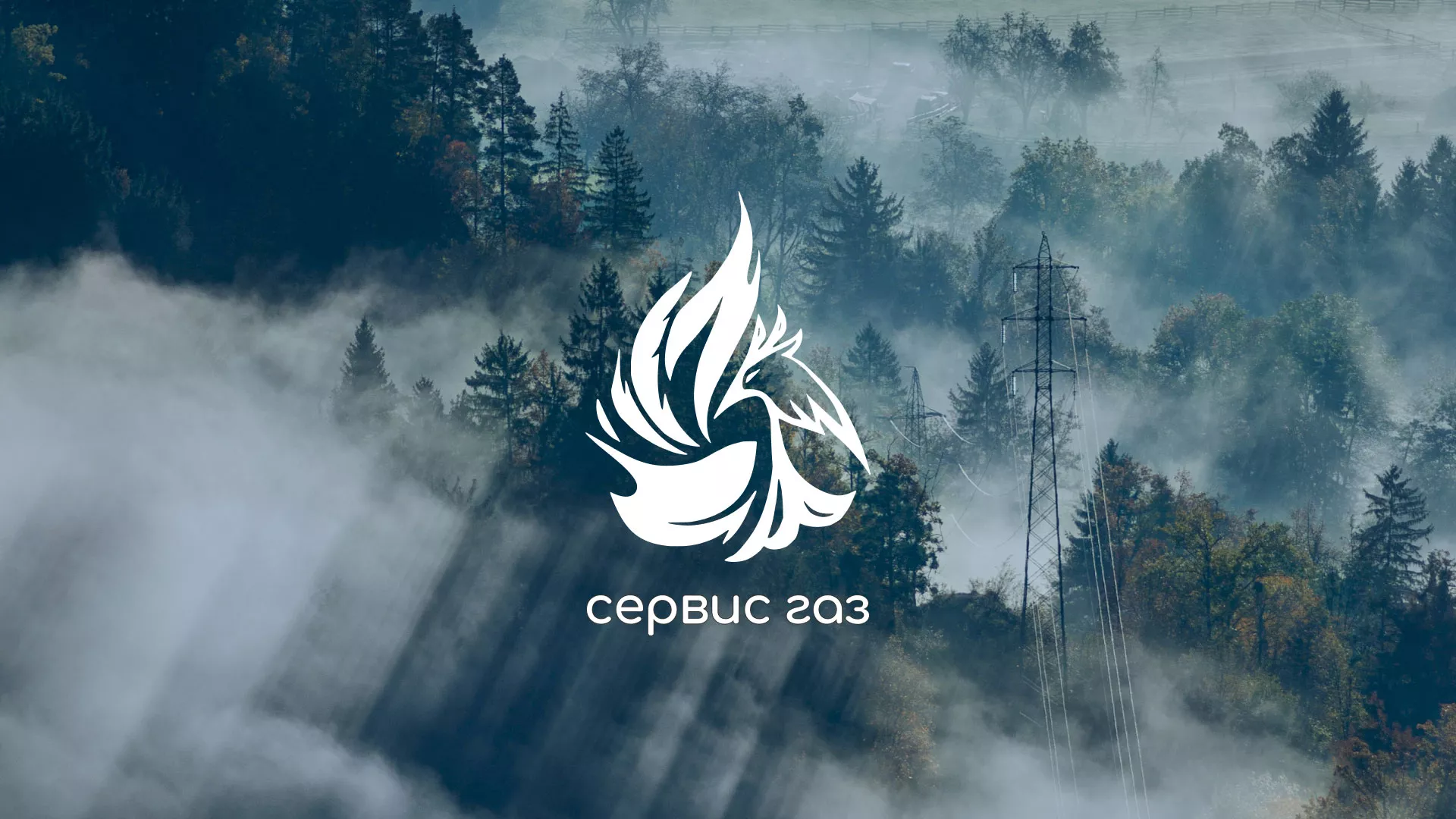 Создание сайта компании «Сервис газ» в Петушках