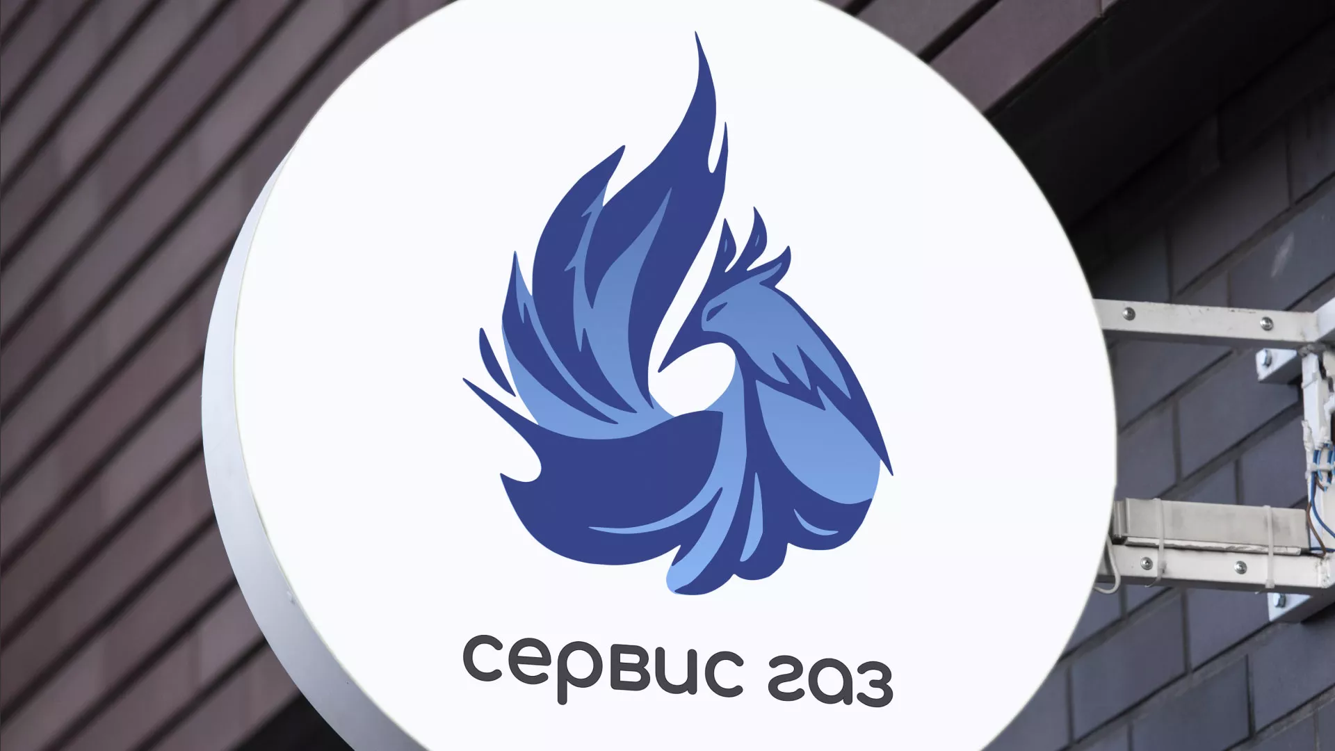 Создание логотипа «Сервис газ» в Петушках