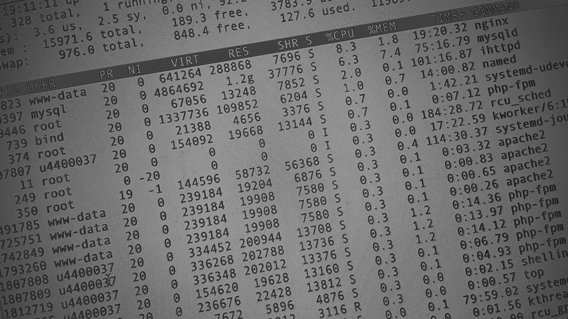 Настройка сервера в Петушках