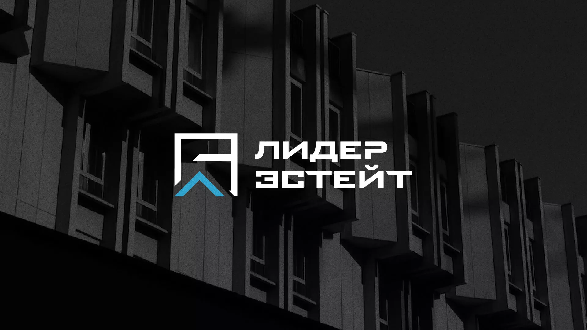 Разработка логотипа агентства недвижимости «Лидер Эстейт» в Петушках